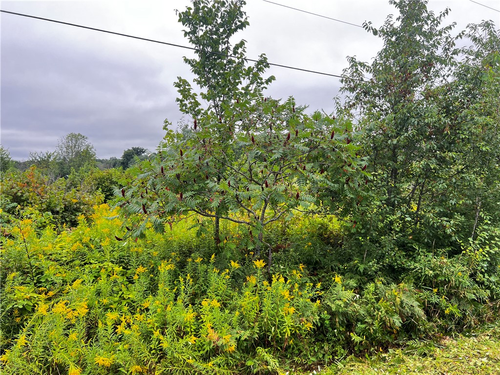 Residential at Lots 20 & 21 250th Street, Cadott, WI 54727 — photo 20