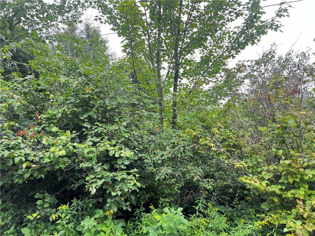 Residential at Lots 20 & 21 250th Street, Cadott, WI 54727 — photo 3