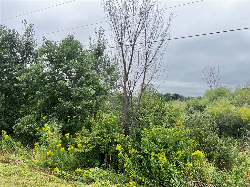 Residential at Lots 20 & 21 250th Street, Cadott, WI 54727 — photo 21