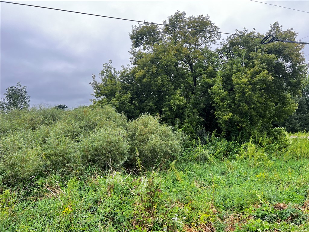 Residential at Lots 20 & 21 250th Street, Cadott, WI 54727 — photo 23