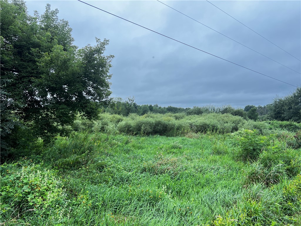 Residential at Lots 20 & 21 250th Street, Cadott, WI 54727 — photo 24