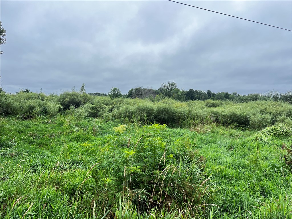 Residential at Lots 20 & 21 250th Street, Cadott, WI 54727 — photo 4