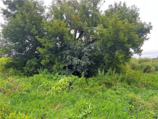 Residential at Lots 20 & 21 250th Street, Cadott, WI 54727 — photo 1