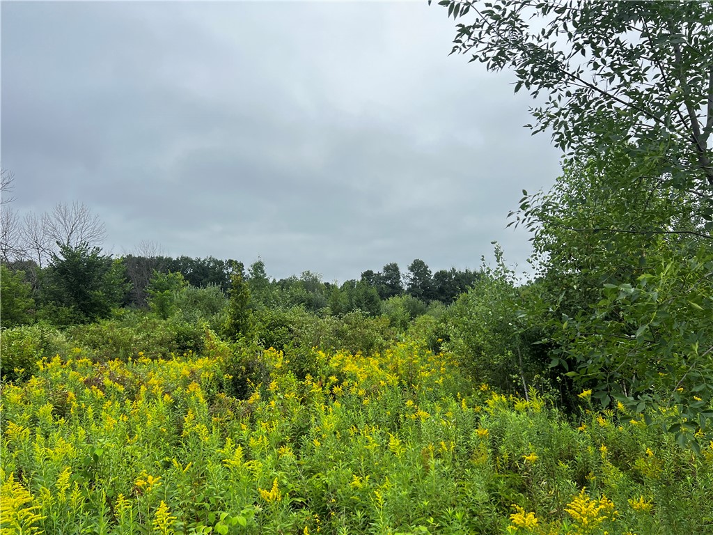 Residential at Lots 20 & 21 250th Street, Cadott, WI 54727 — photo 7