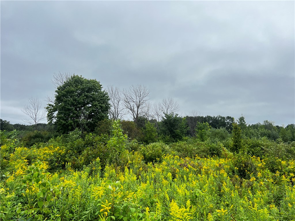 Residential at Lots 20 & 21 250th Street, Cadott, WI 54727 — photo 8