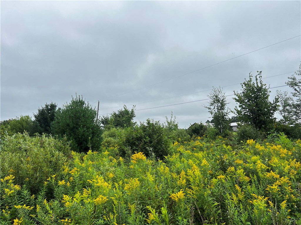 Residential at Lots 20 & 21 250th Street, Cadott, WI 54727 — photo 9