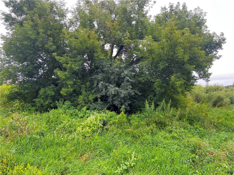 Lots 20 & 21 250th Street