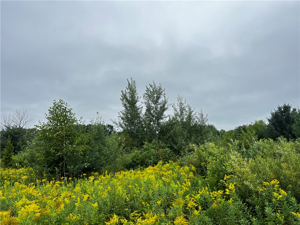 Residential at Lots 20 & 21 250th Street, Cadott, WI 54727 — photo 10