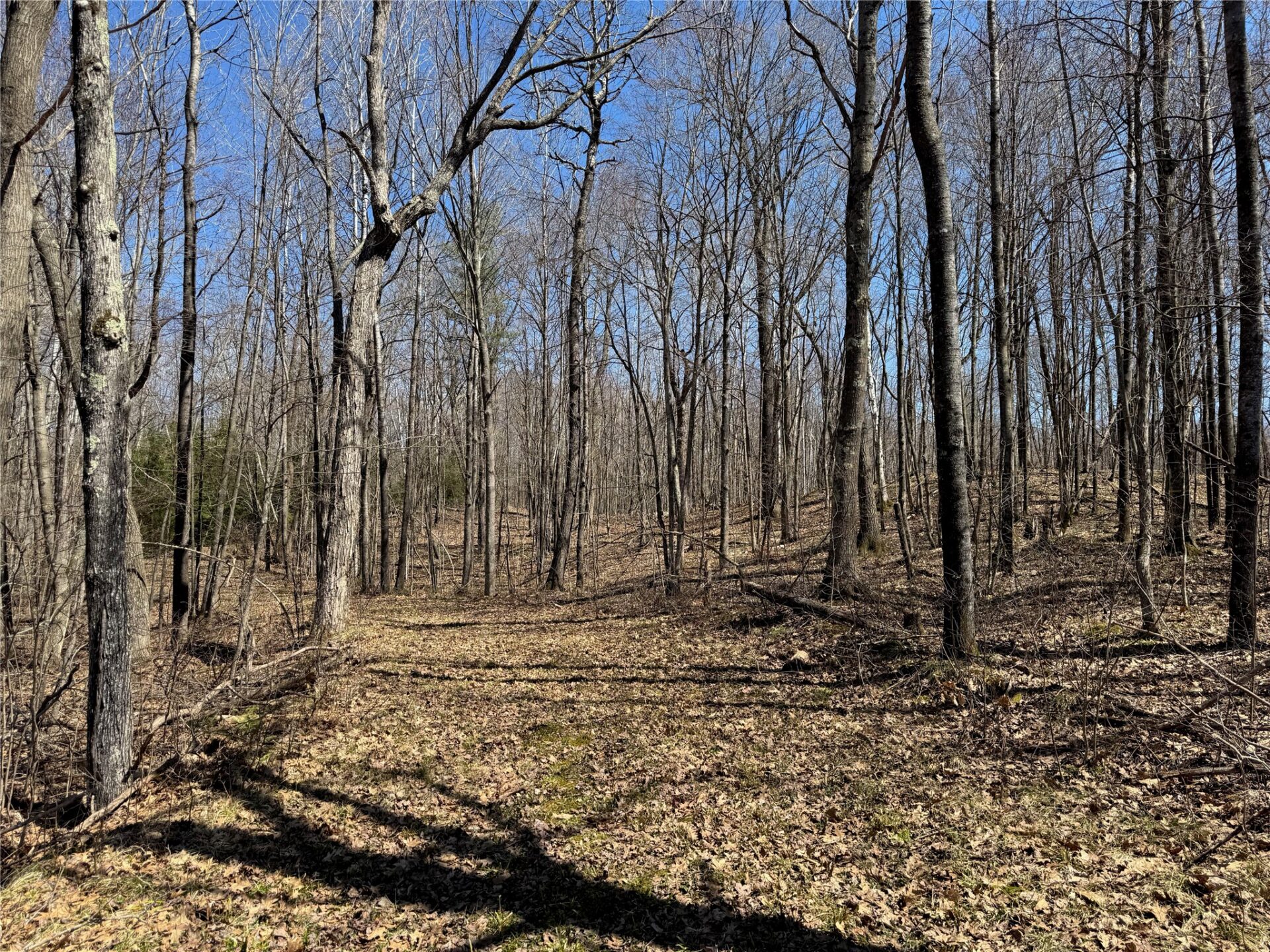 Land at N 4400 Gallagher Road, Stone Lake, WI 54876 — photo 11