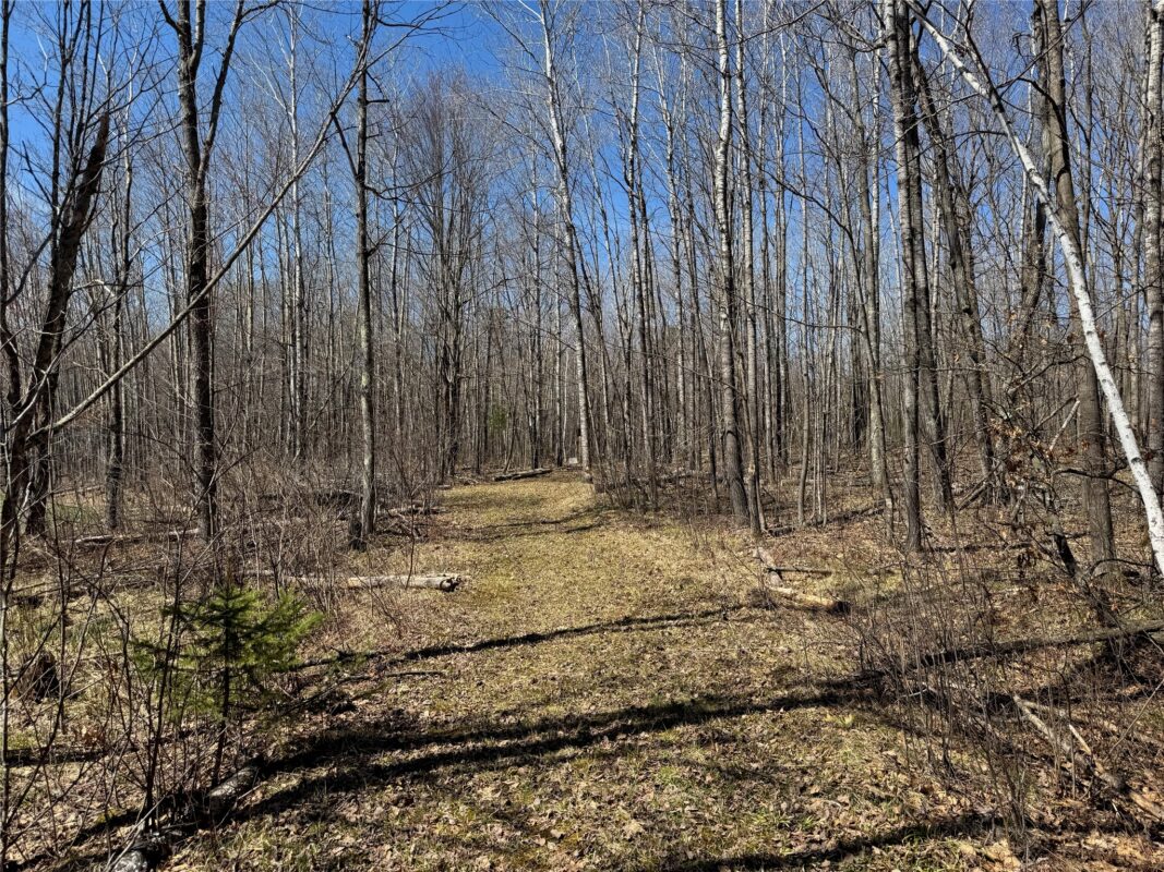 Land at N 4400 Gallagher Road, Stone Lake, WI 54876 — photo 12