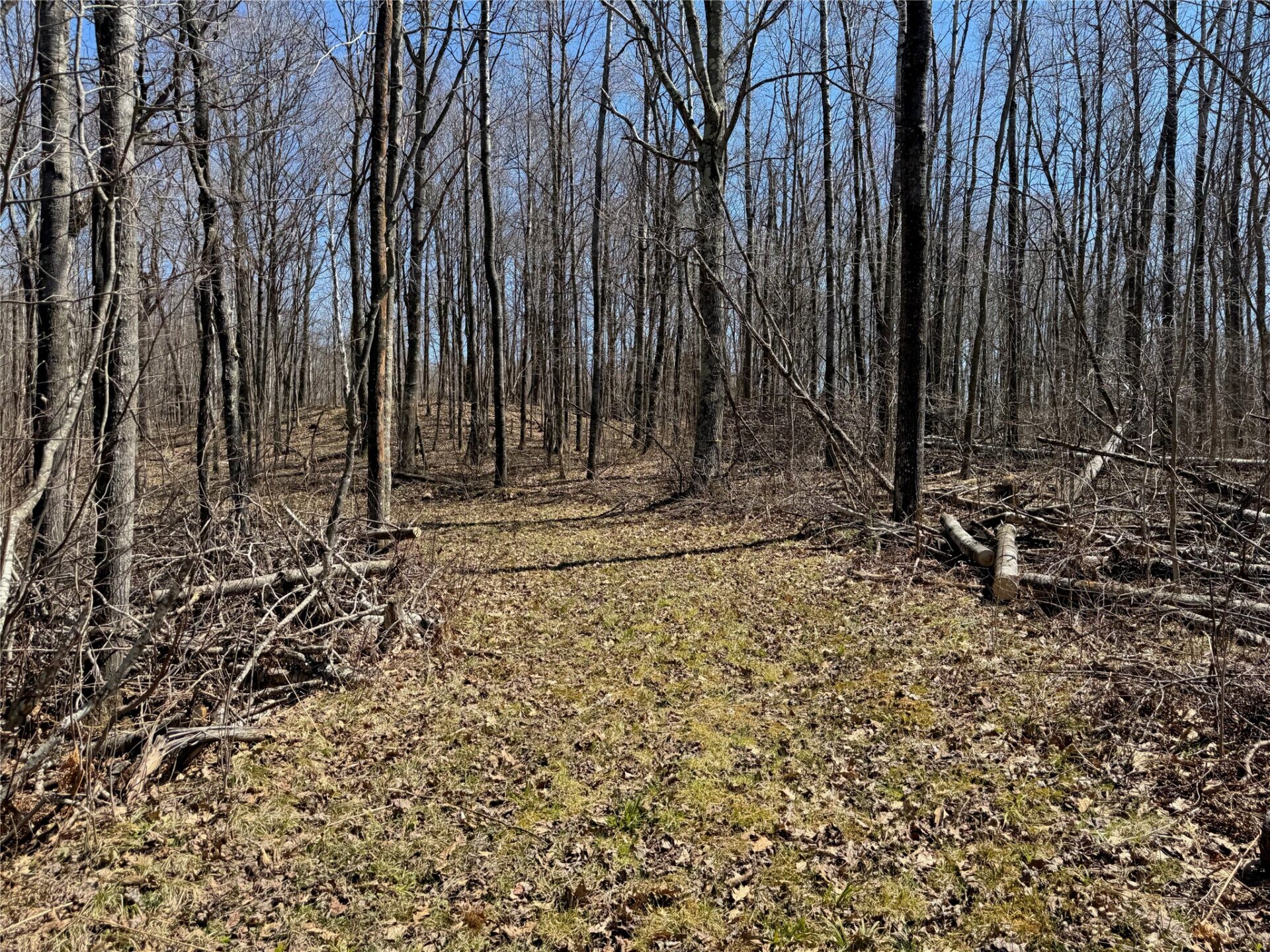 Land at N 4400 Gallagher Road, Stone Lake, WI 54876 — photo 13