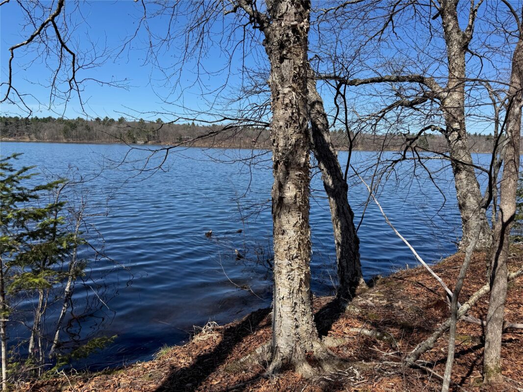 Land at N 4400 Gallagher Road, Stone Lake, WI 54876 — photo 14