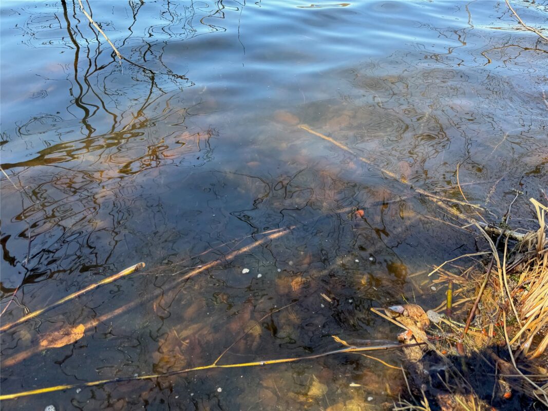 Land at N 4400 Gallagher Road, Stone Lake, WI 54876 — photo 15