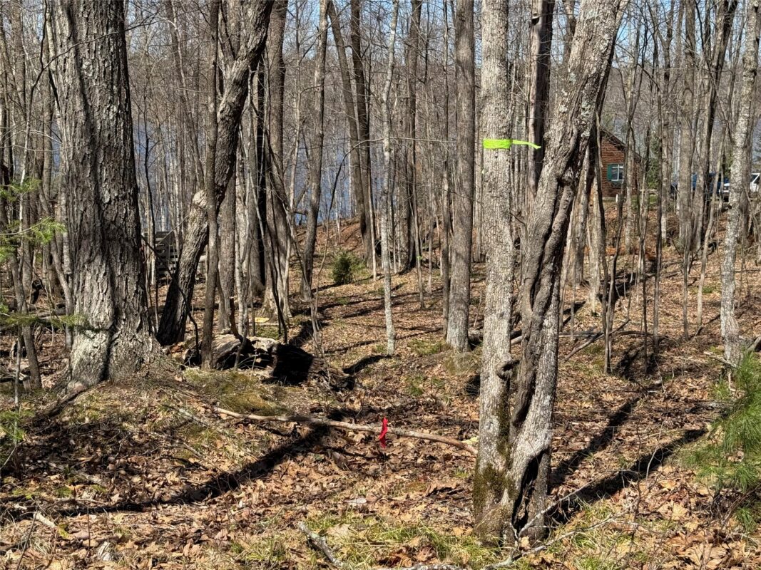 Land at N 4400 Gallagher Road, Stone Lake, WI 54876 — photo 18