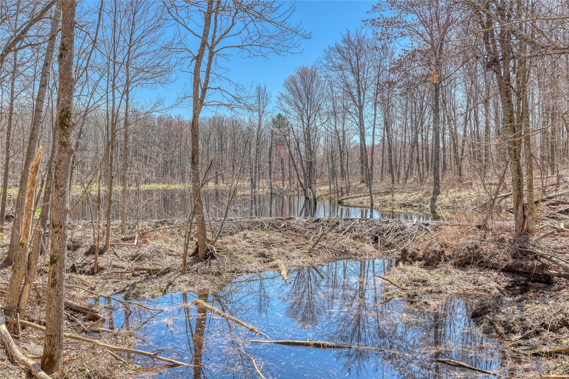 Land at N 4400 Gallagher Road, Stone Lake, WI 54876 — photo 45
