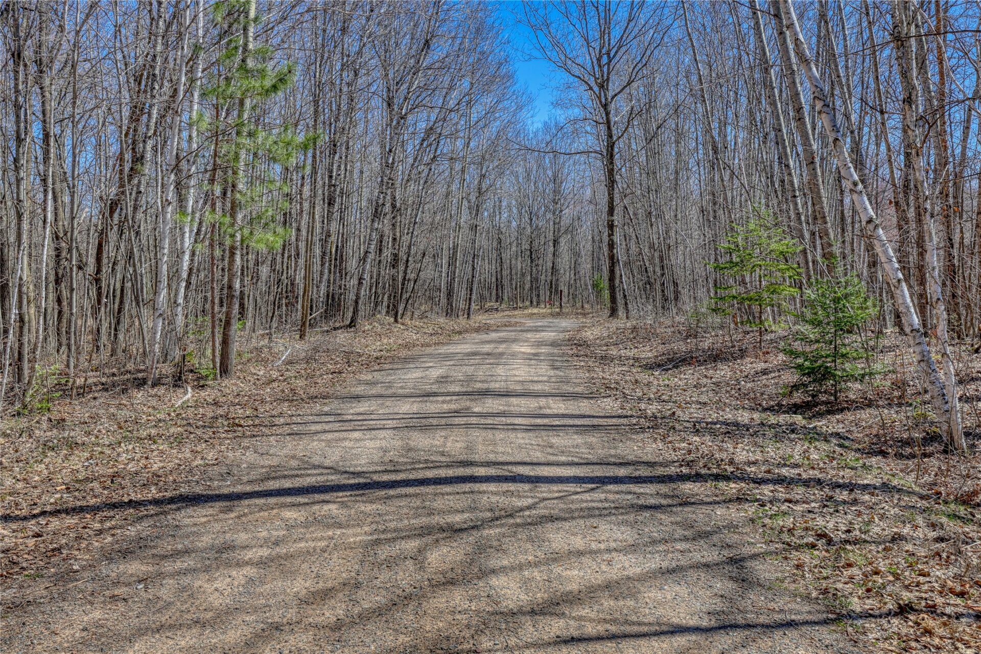 Land at N 4400 Gallagher Road, Stone Lake, WI 54876 — photo 46