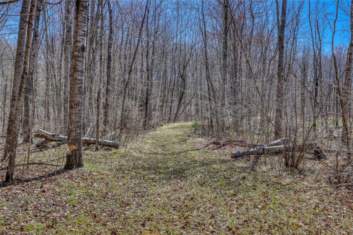 Land at N 4400 Gallagher Road, Stone Lake, WI 54876 — photo 47