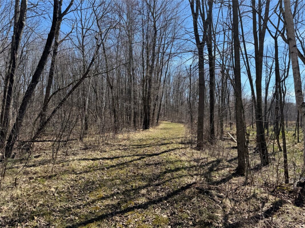 Land at N 4400 Gallagher Road, Stone Lake, WI 54876 — photo 9