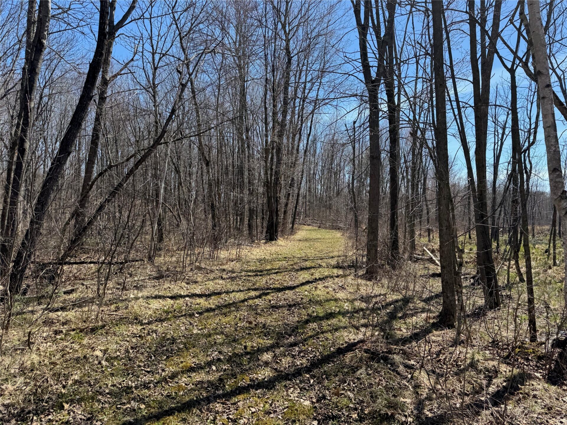 Land at N 4400 Gallagher Road, Stone Lake, WI 54876 — photo 9