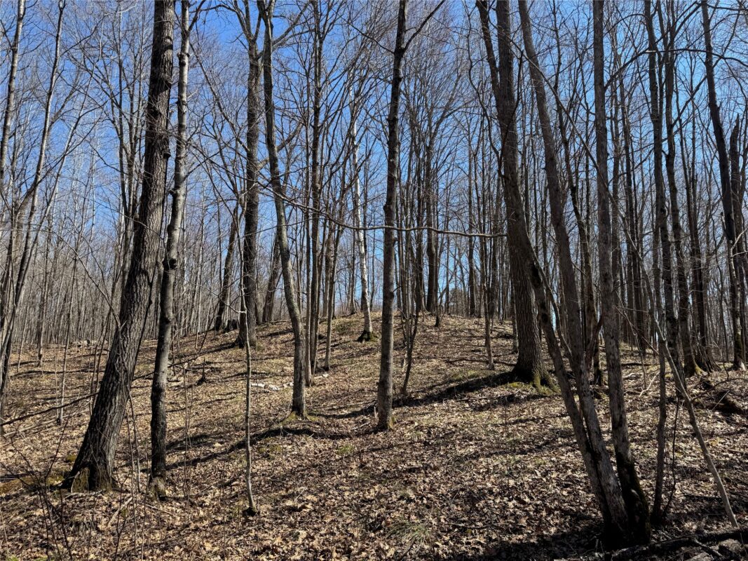Land at N 4400 Gallagher Road, Stone Lake, WI 54876 — photo 10