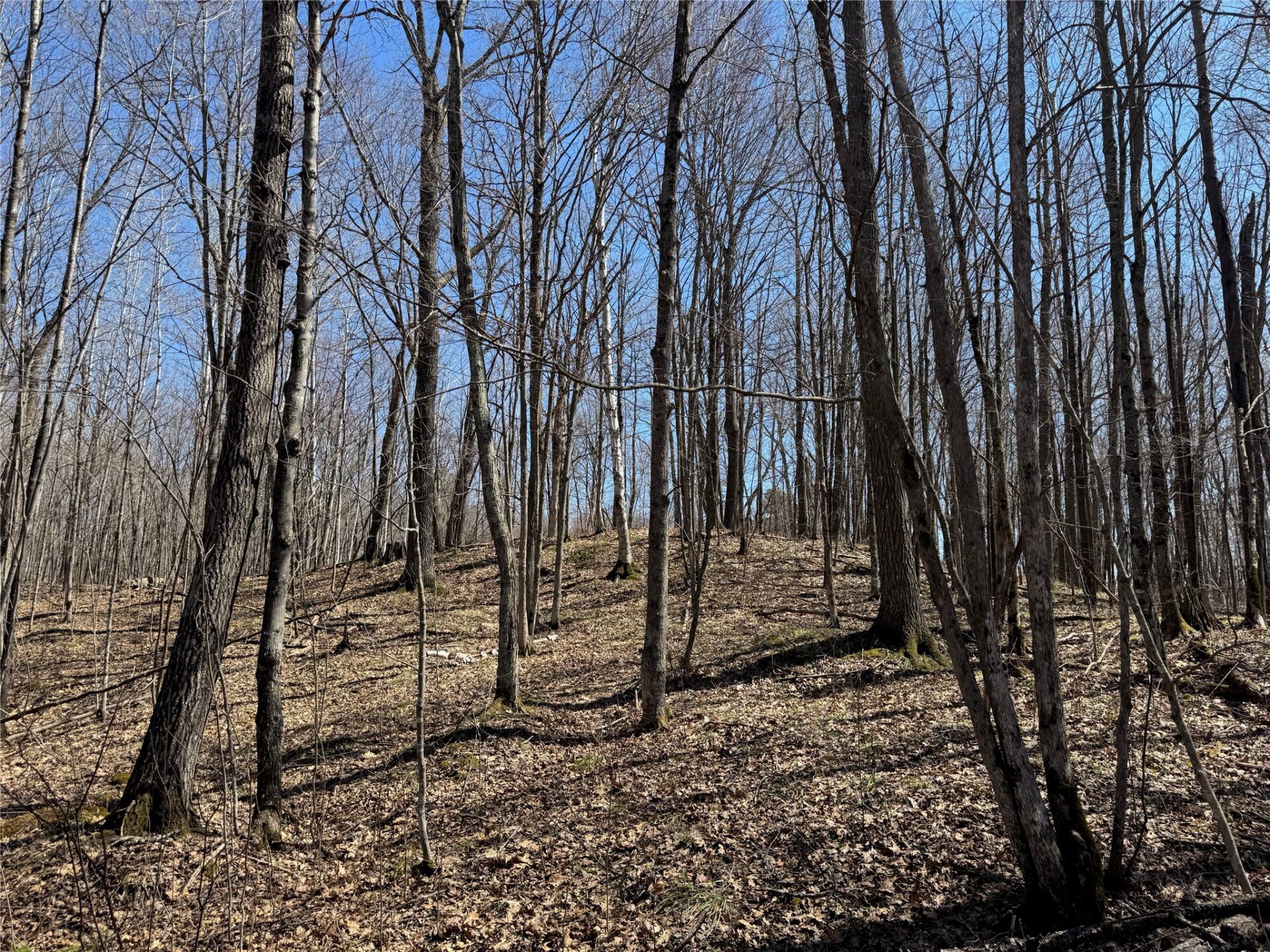 Land at N 4400 Gallagher Road, Stone Lake, WI 54876 — photo 10
