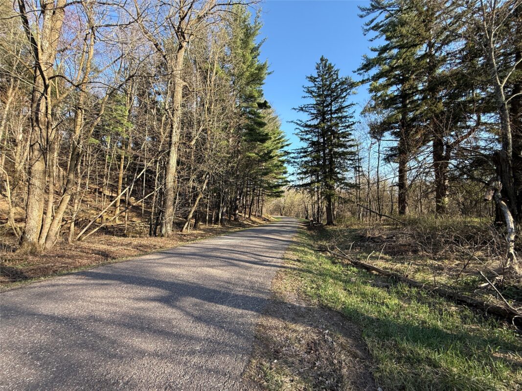 Land at N11119 Jahn Road, Alma Center, WI 54611 — photo 11