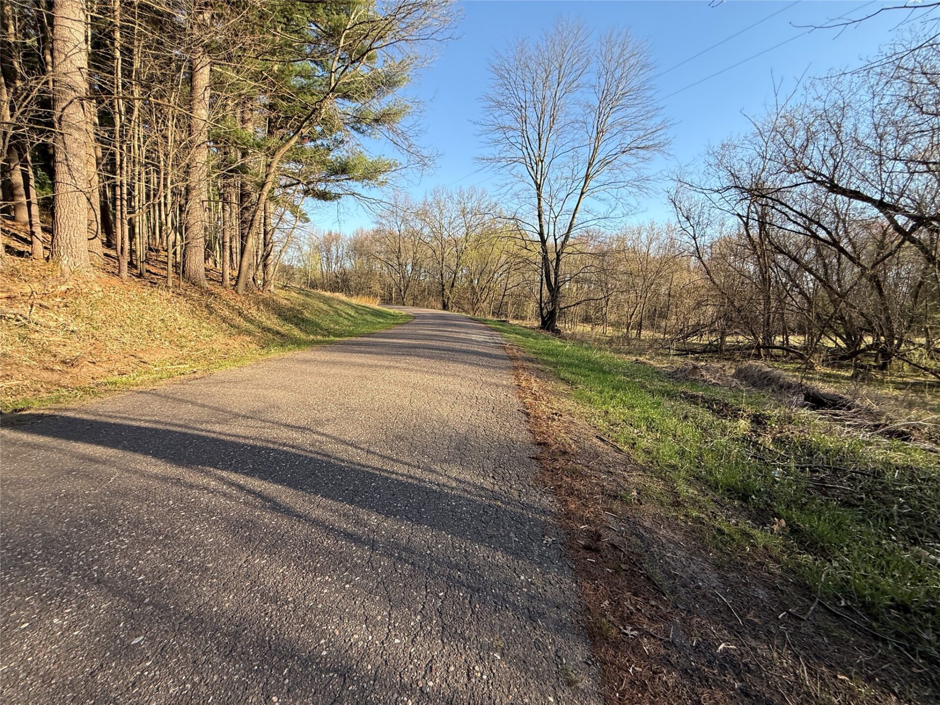 Land at N11119 Jahn Road, Alma Center, WI 54611 — photo 12