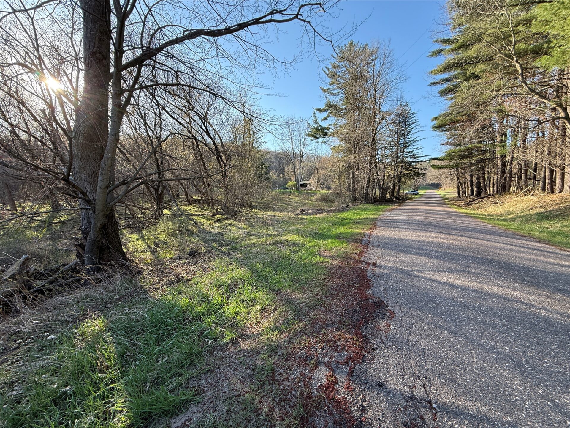 Land at N11119 Jahn Road, Alma Center, WI 54611 — photo 13