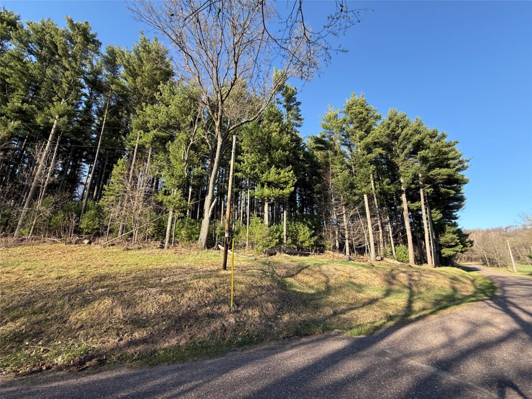 Land at N11119 Jahn Road, Alma Center, WI 54611 — photo 14