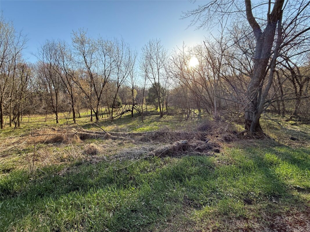 Land at N11119 Jahn Road, Alma Center, WI 54611 — photo 15