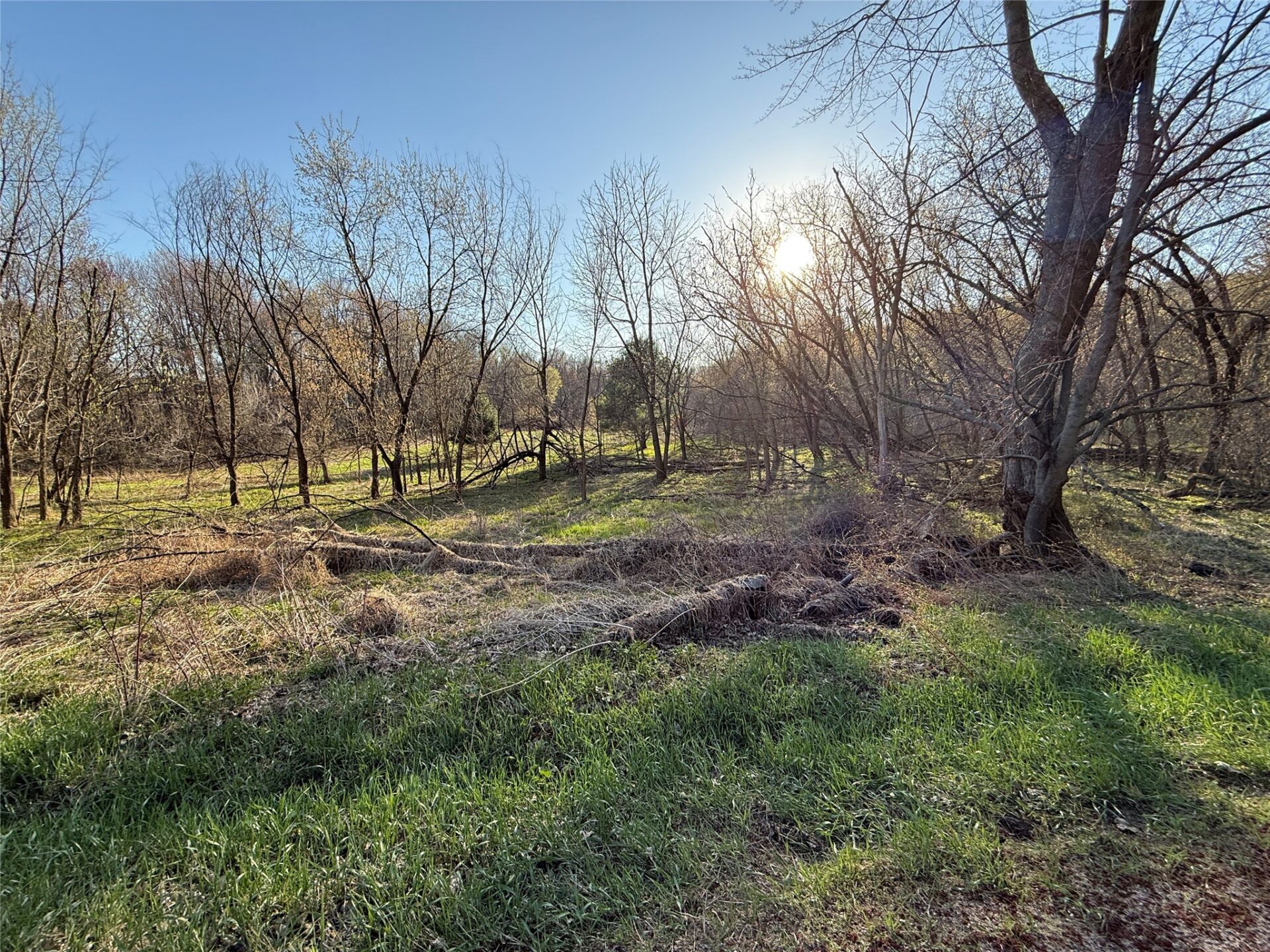 Land at N11119 Jahn Road, Alma Center, WI 54611 — photo 15