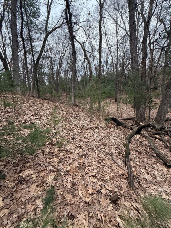 Land at N11119 Jahn Road, Alma Center, WI 54611 — photo 18