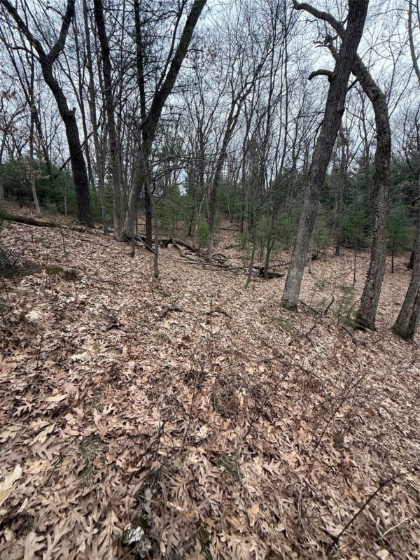 Land at N11119 Jahn Road, Alma Center, WI 54611 — photo 19