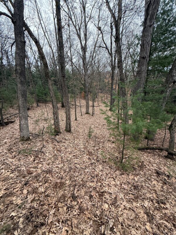 Land at N11119 Jahn Road, Alma Center, WI 54611 — photo 20