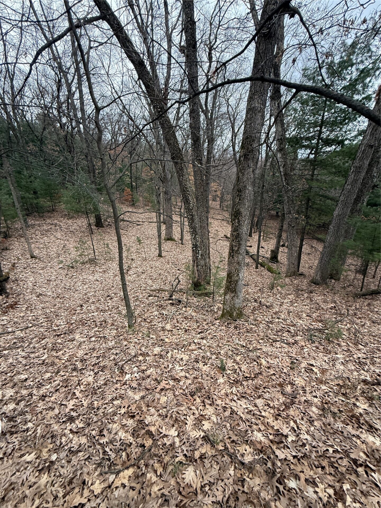 Land at N11119 Jahn Road, Alma Center, WI 54611 — photo 21