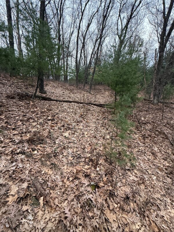 Land at N11119 Jahn Road, Alma Center, WI 54611 — photo 23