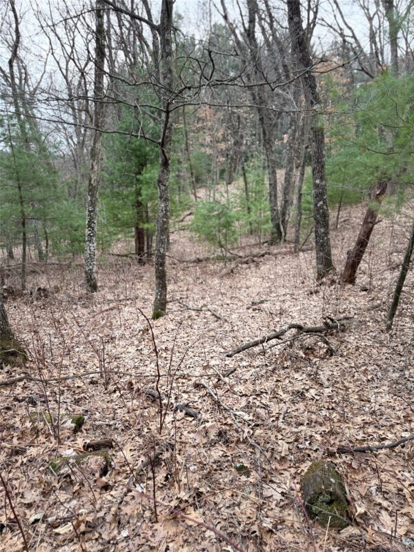 Land at N11119 Jahn Road, Alma Center, WI 54611 — photo 27