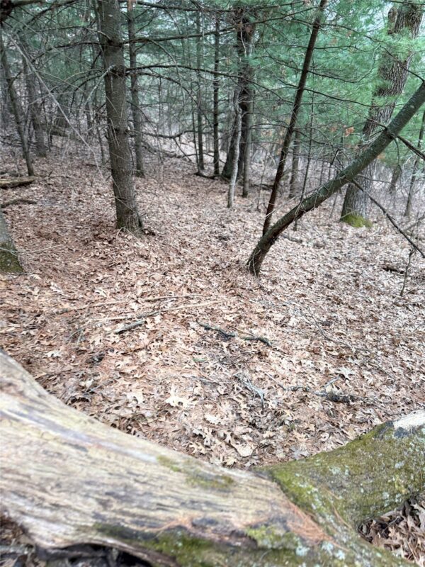 Land at N11119 Jahn Road, Alma Center, WI 54611 — photo 28