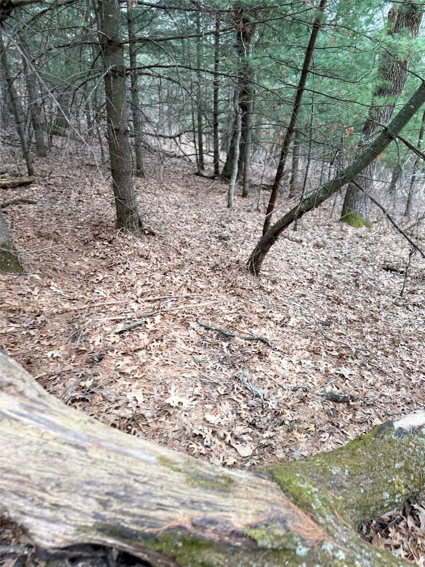 Land at N11119 Jahn Road, Alma Center, WI 54611 — photo 28