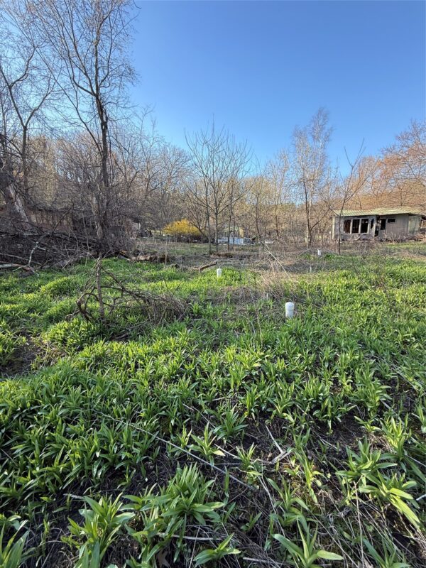 Land at N11119 Jahn Road, Alma Center, WI 54611 — photo 5