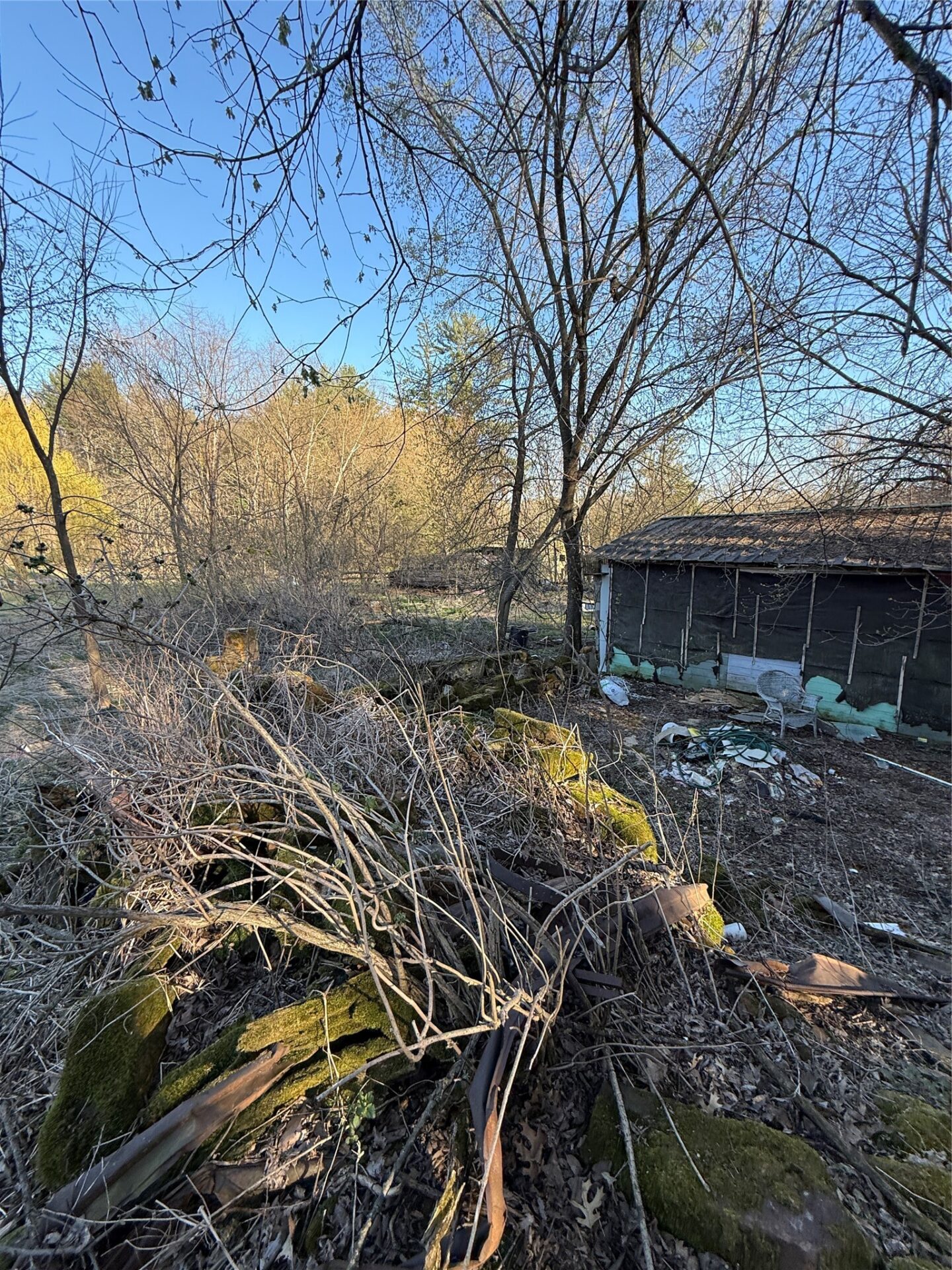 Land at N11119 Jahn Road, Alma Center, WI 54611 — photo 47