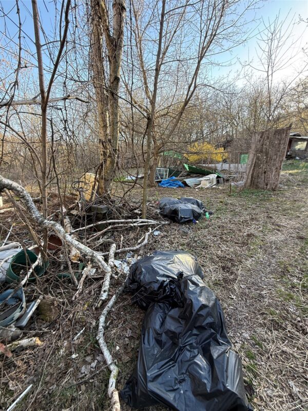 Land at N11119 Jahn Road, Alma Center, WI 54611 — photo 51