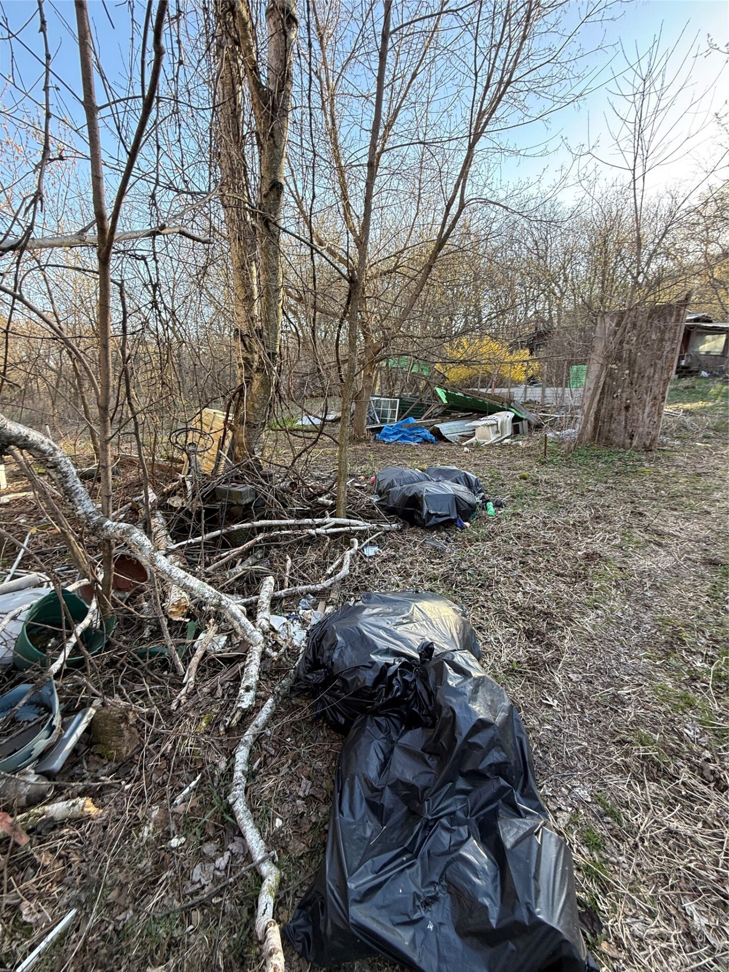 Land at N11119 Jahn Road, Alma Center, WI 54611 — photo 51