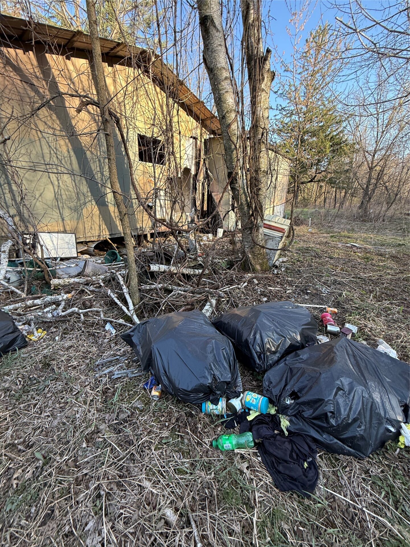 Land at N11119 Jahn Road, Alma Center, WI 54611 — photo 53