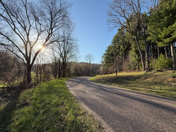 Land at N11119 Jahn Road, Alma Center, WI 54611 — photo 1