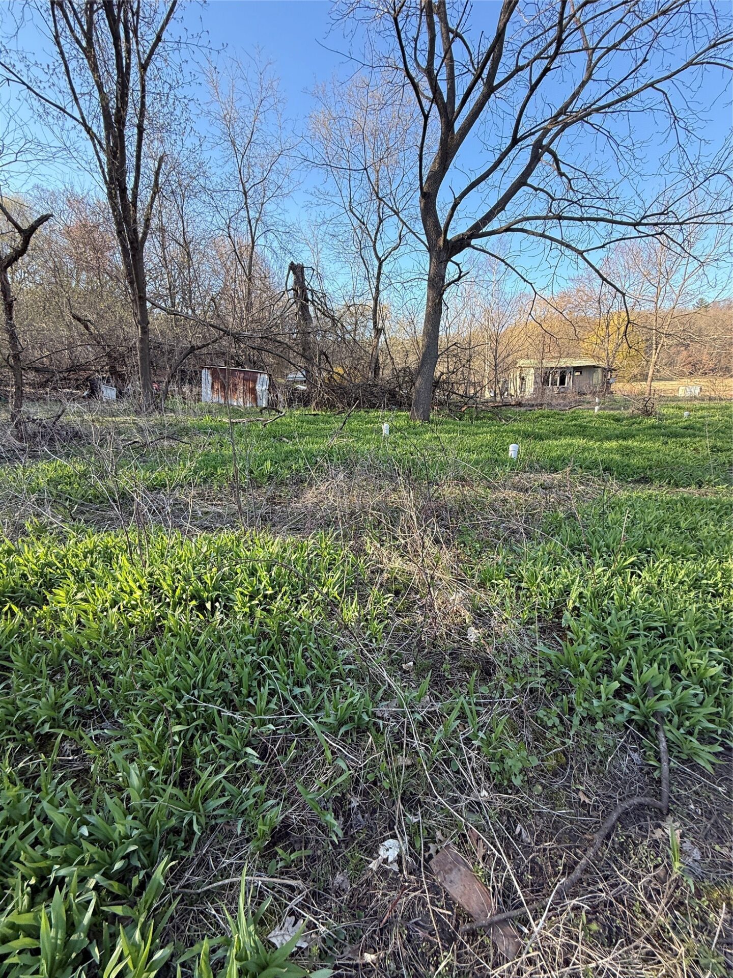 Land at N11119 Jahn Road, Alma Center, WI 54611 — photo 7