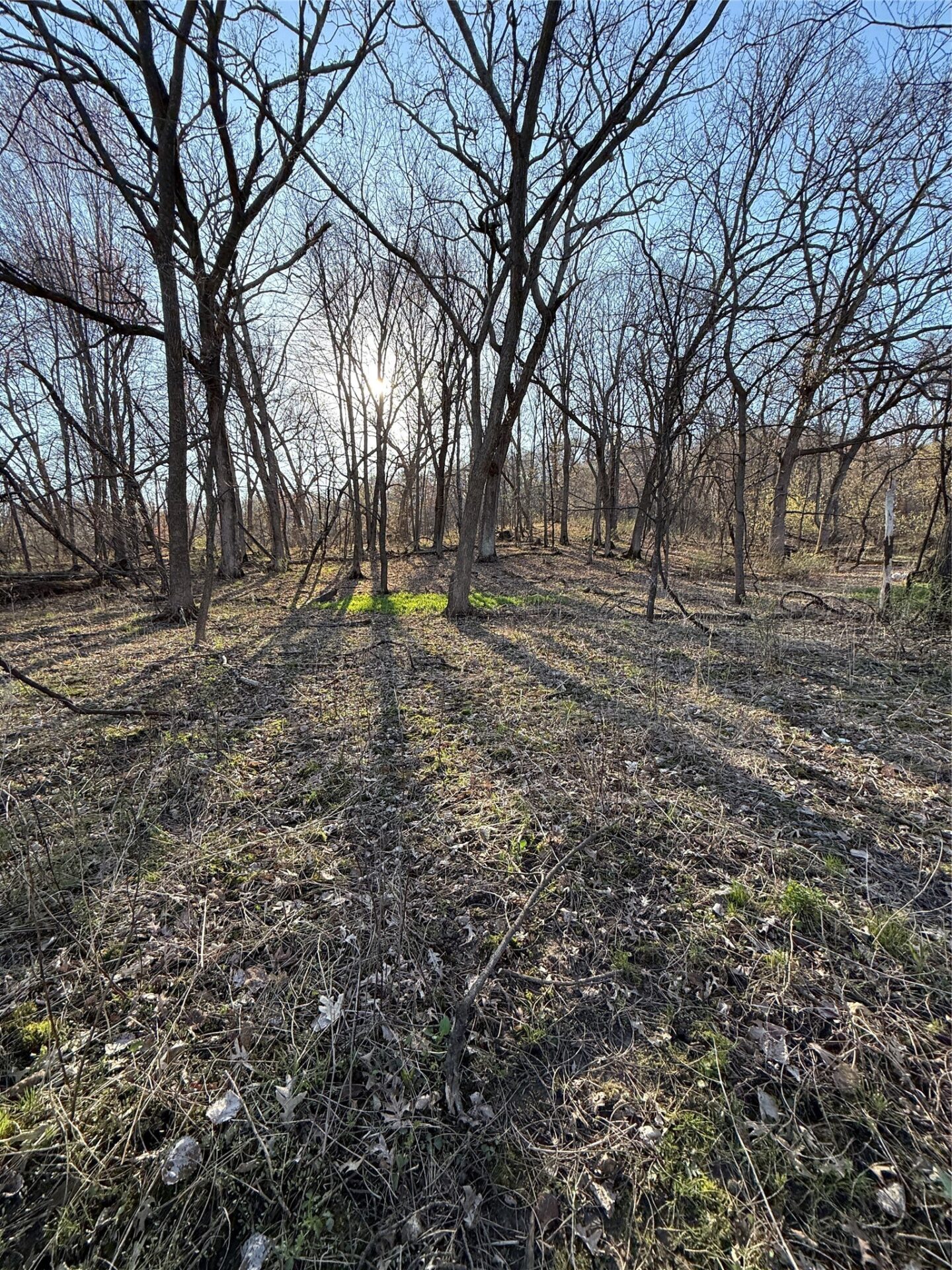 Land at N11119 Jahn Road, Alma Center, WI 54611 — photo 8