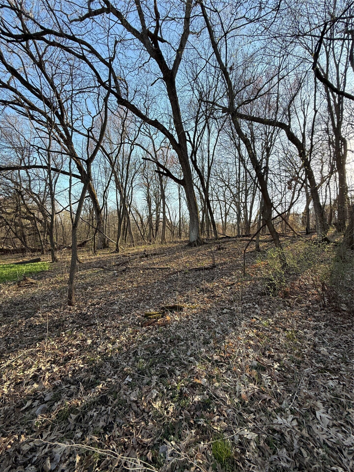 Land at N11119 Jahn Road, Alma Center, WI 54611 — photo 9