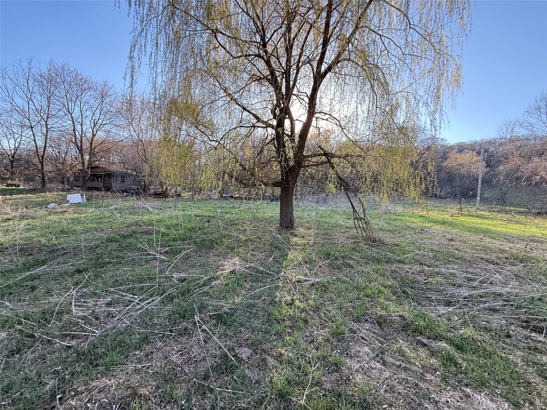 Land at N11119 Jahn Road, Alma Center, WI 54611 — photo 10