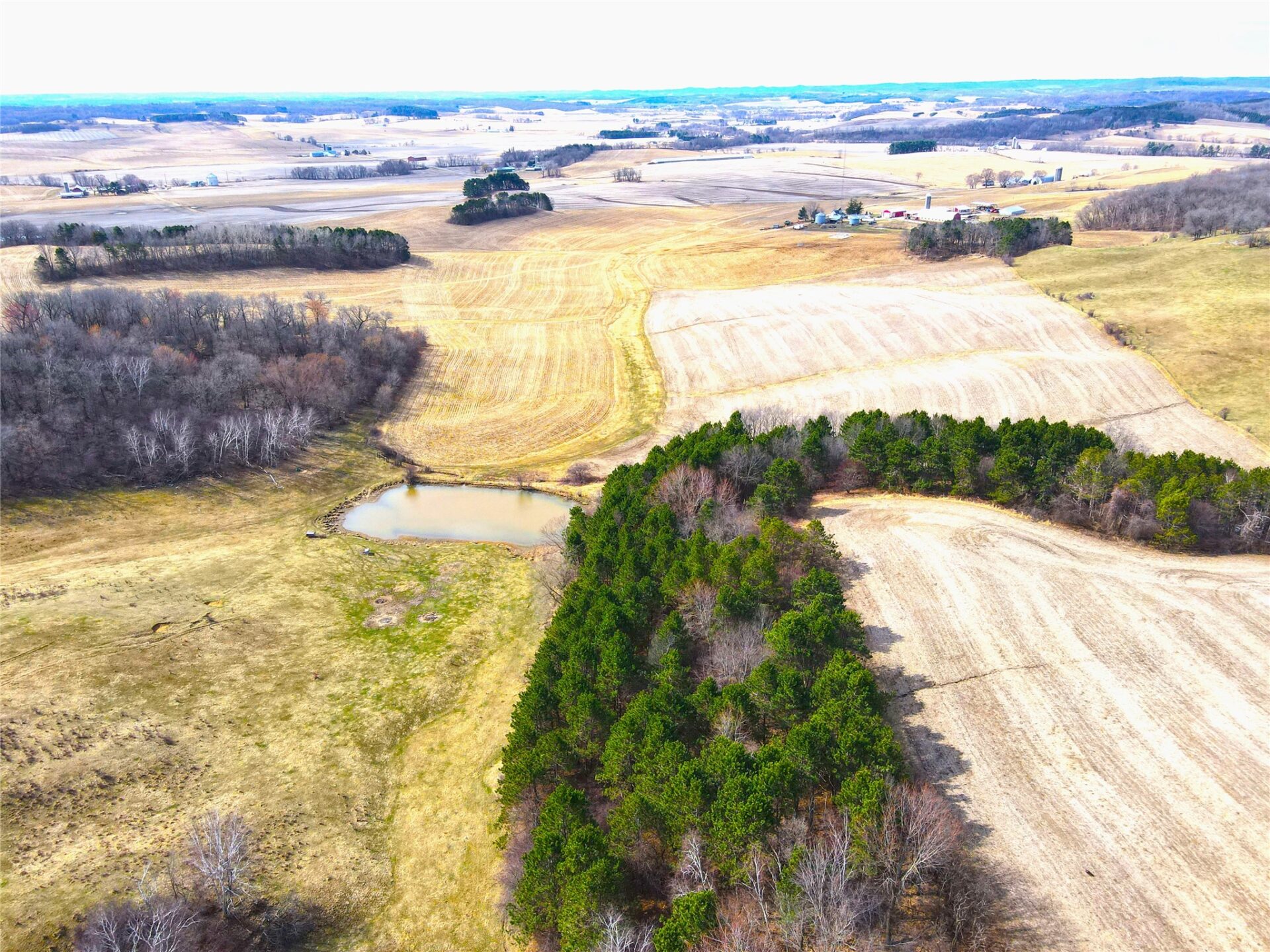 Farm at N41286 Halama Road, Independence, WI 54747 — photo 13